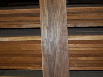 Caribbean Rosewood is also known as Che Chen
