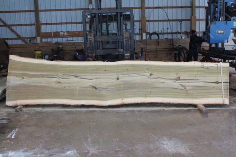 Poplar 82-7 rough size 2.5″ x 33″-41″ x 16′  * Slab is structurally compromised.  See after kiln dried pic on the right.  $1000
