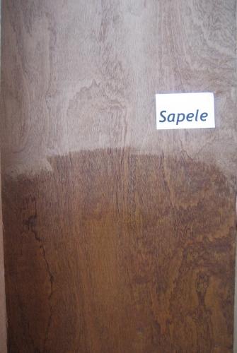 Sapele wetted to show grain & color