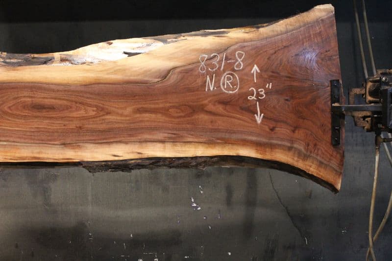 surfaced walnut slab 831-8 narrow face, right side closeup