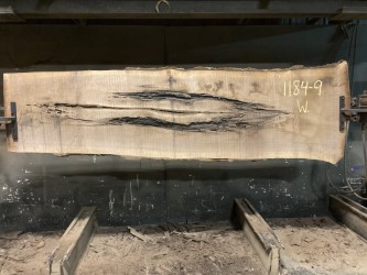 walnut slab #1184-9 after being kiln dried.  Wide side