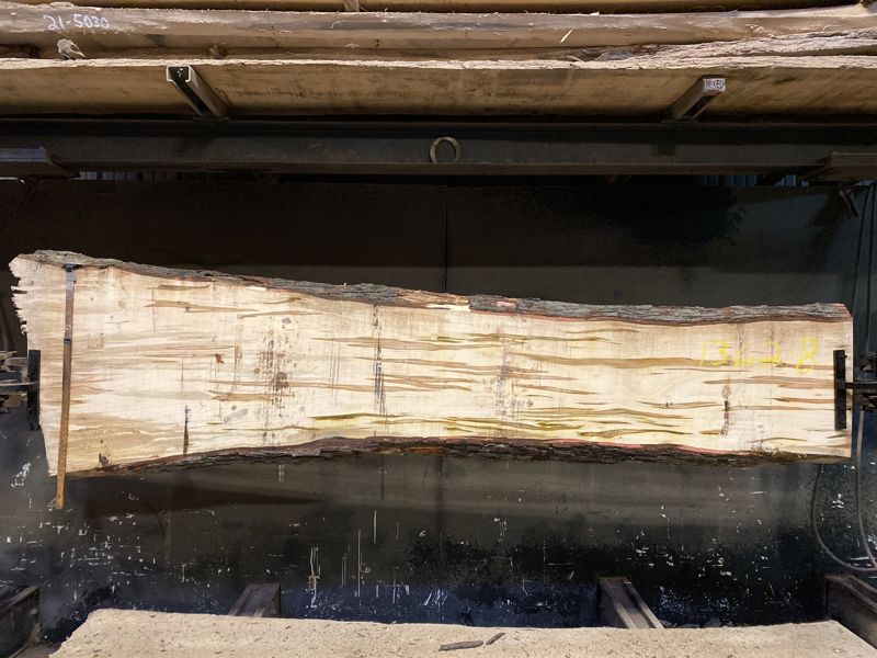 Ambrosia Maple slab 1362-8 rough size 2.5″ x 18-30″ avg. 19″ x 10′ $700