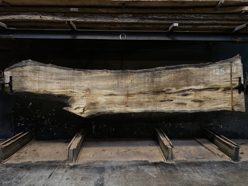 Spalted Hackberry Slab 1253-1 rough size 2.5″ x 15-37″ avg. 29″ x 14′ $975