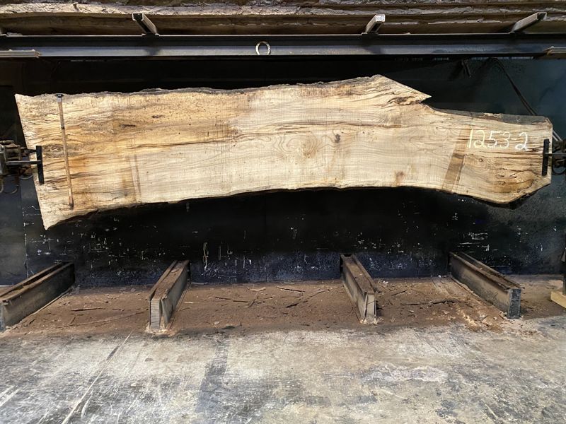 Spalted Hackberry Slab 1253-2 rough size 2.5″ x 23-41″ avg. 33″ x 14′ $1075