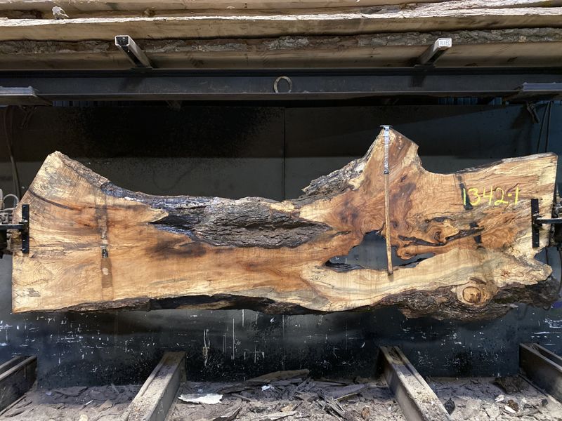spalted hard maple slab 1342-1 rough size 2.5″ x 12-44″ avg. 22″ x 10′ $750