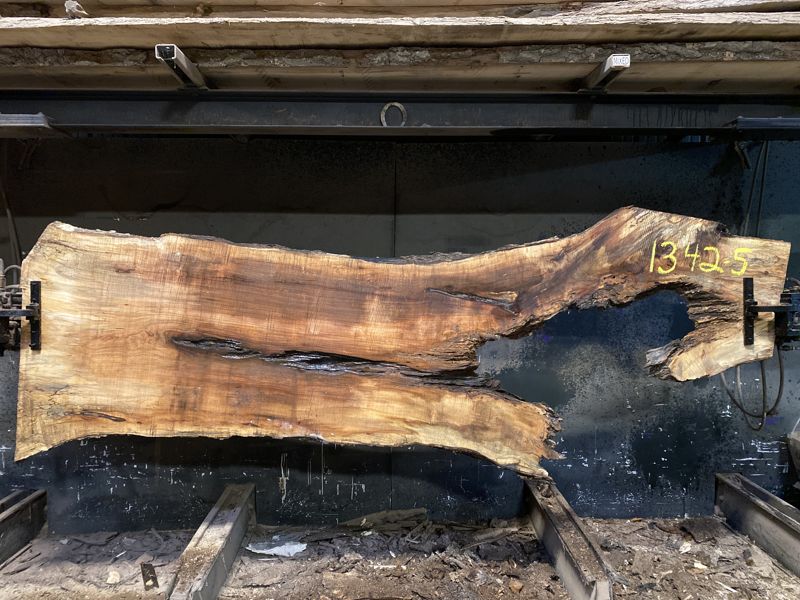 spalted hard maple slab 1342-5 rough size 2.5″ x 12-41″ avg. 33″ x 10′ $750