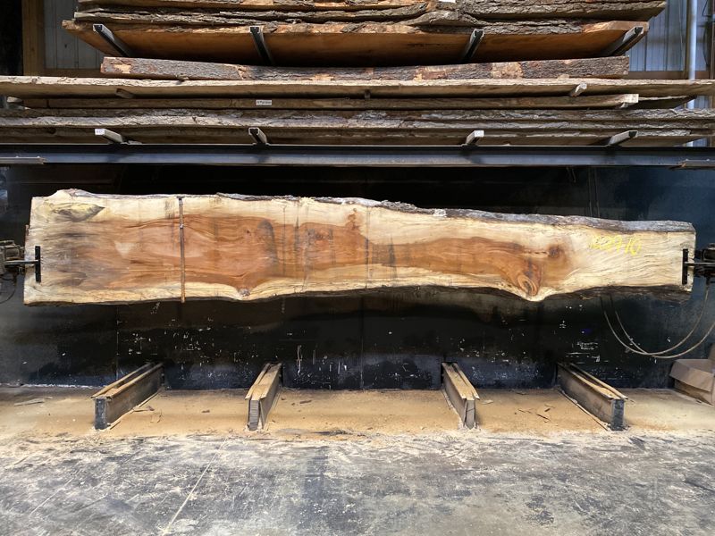 spalted sycamore slab 1229-10 rough size 2.5″ x 10-37″ avg. 26″ x 18′ $725