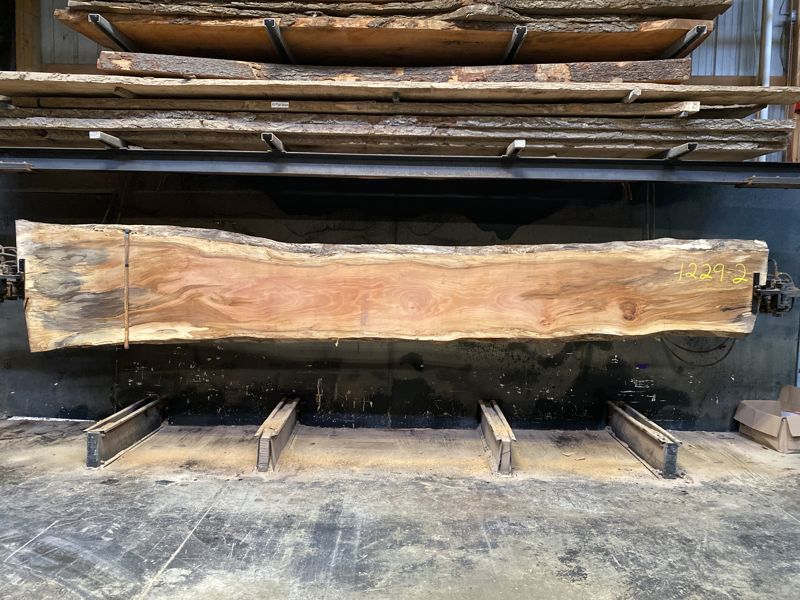 spalted sycamore slab 1229-2 rough size 2.5″ x 24-38″ avg. 26″ x 18′ $1200