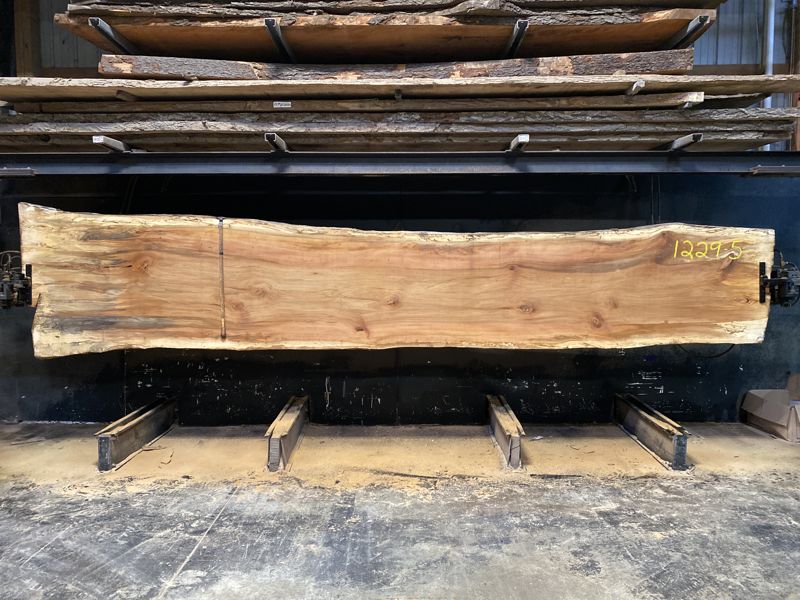 spalted sycamore slab 1229-5 rough size 2.5″ x 34-44″ avg. 36″ x 18′ $1400