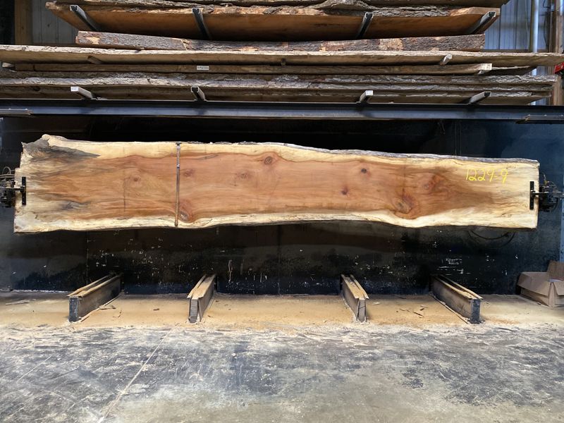 spalted sycamore slab 1229-9 rough size 2.5″ x 28-41″ avg. 32″ x 18′ $1450
