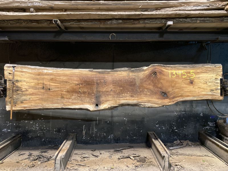 spalted sycamore slab 1345-5 rough size 2.5″ x 23-30″ avg. 25″ x 12′ $850