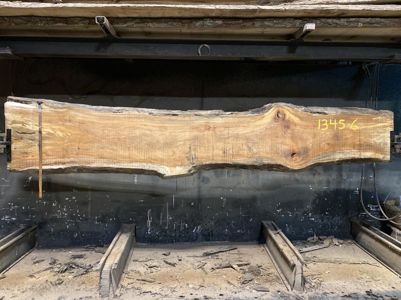 spalted sycamore slab 1345-6 rough size 2.5″ x 17-25″ avg. 20″ x 12′ $650