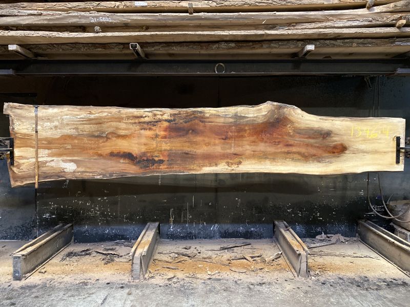 spalted sycamore slab 1346-4 rough size 2.5″ x 23-36″ avg. 28″ x 14′ $900