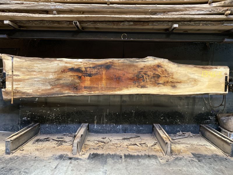 spalted sycamore slab 1346-5 rough size 2.5″ x 18-33″ avg. 26″ x 14′ $850