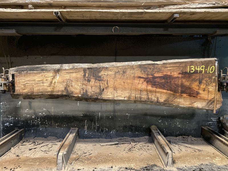 spalted sycamore slab 1349-10 rough size 2.5″ x 14-33″ avg. 23″ x 11′ $550