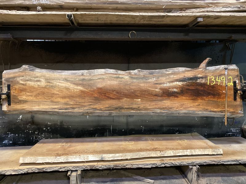 spalted sycamore slab 1349-2 rough size 2.5″ x 22-29″ avg. 23″ x 11′ $650