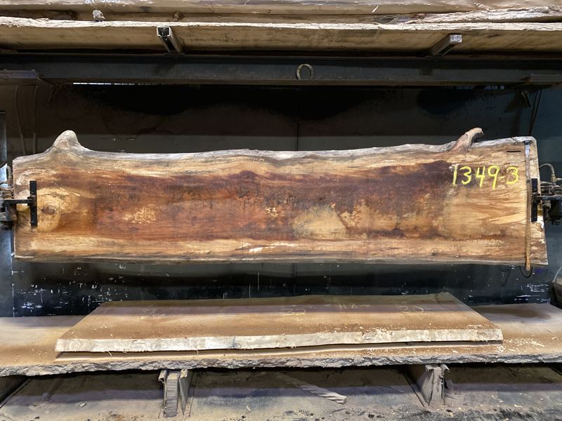 spalted sycamore slab 1349-3 rough size 2.5″ x 27-34″ avg. 29″ x 11′ $700