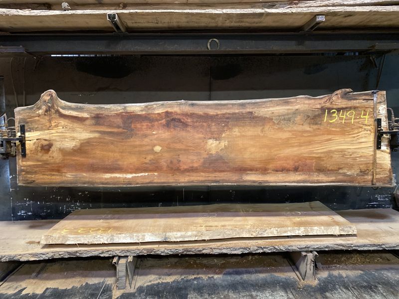 spalted sycamore slab 1349-4 rough size 2.5″ x 30-37″ avg. 32″ x 11′ $750