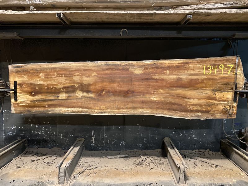 spalted sycamore slab 1349-7 rough size 2.5″ x 30-39″ avg. 33″ x 11′ $950 