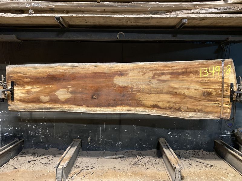 spalted sycamore slab 1349-8 rough size 2.5″ x 28-37″ avg. 31″ x 11′ $900