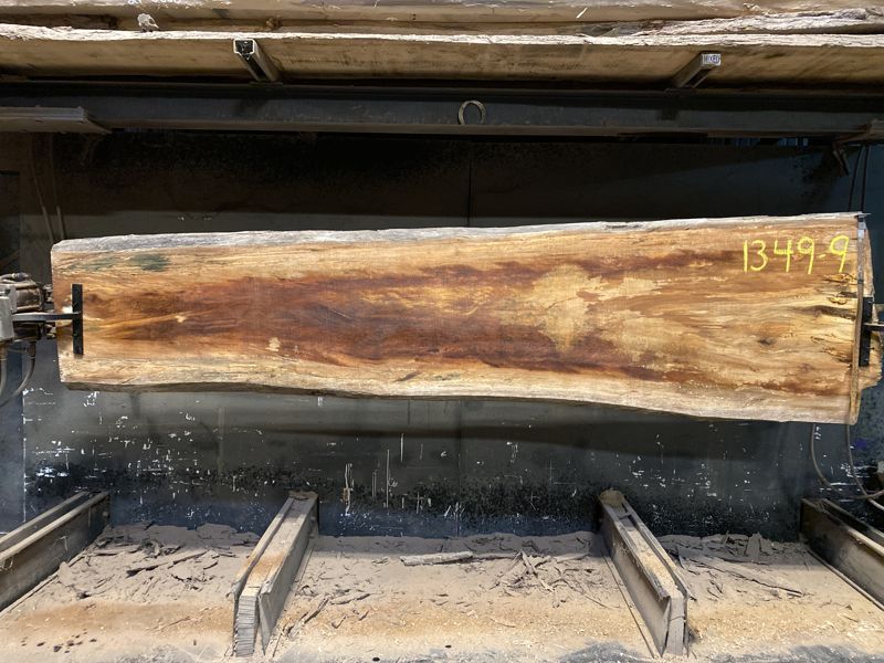 spalted sycamore slab 1349-9 rough size 2.5″ x 23-36″ avg. 28″ x 11′ $750