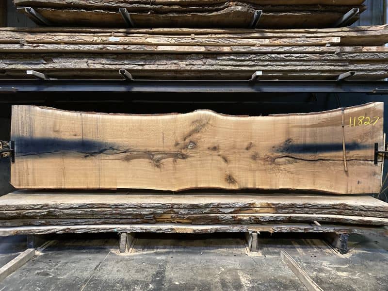 white oak slab 1182-7 rough size 2.5″ x 40-51″ avg. 42″ x 17′ $2950  Reinspection Avail