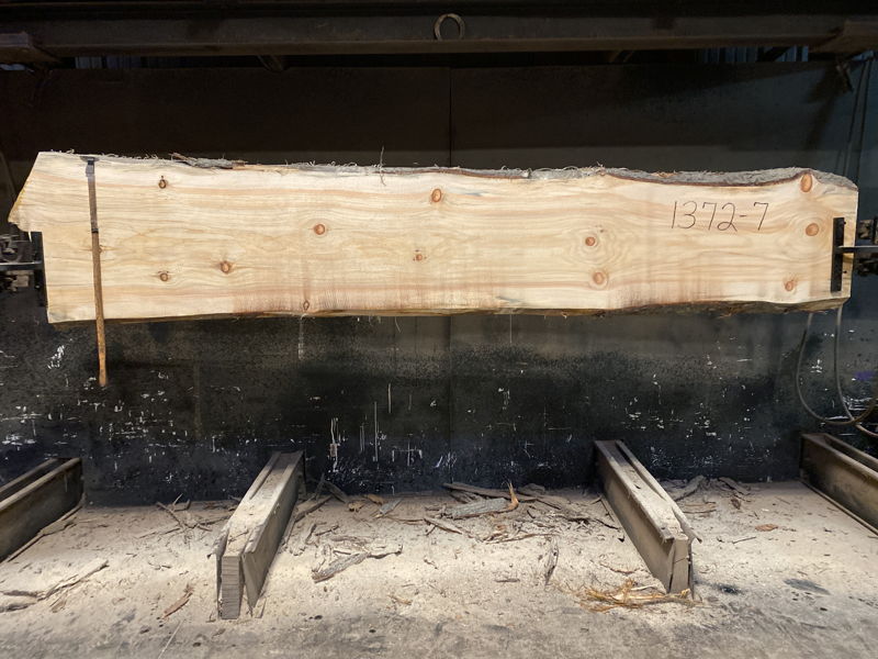 white pine slab 1372-7 rough size 2.5″ x 19-26″ avg. 22″ x 10′ $625 