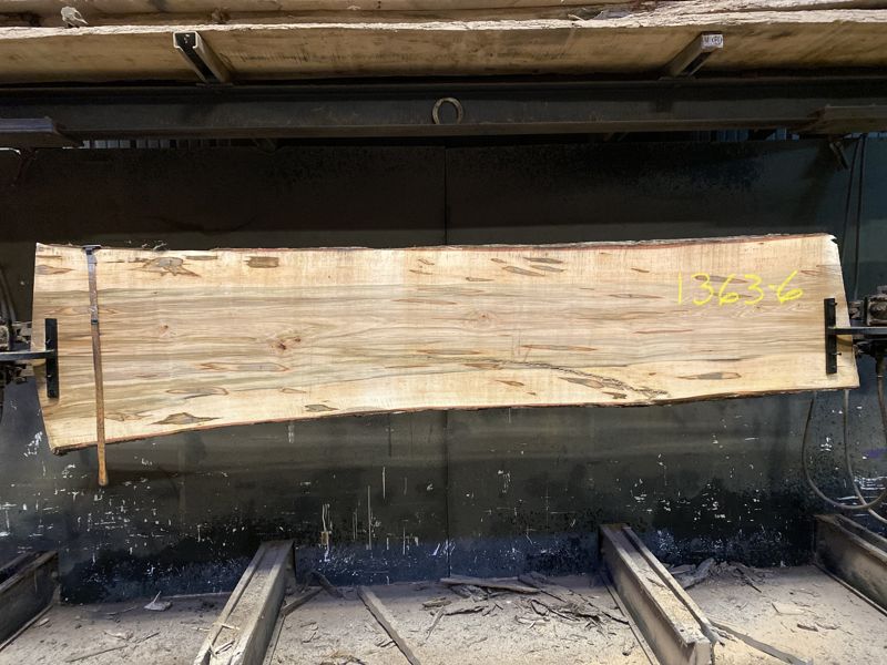 Ambrosia Maple Slab 1363-6 rough size 2″ x 24-29″ avg. 25″ x 10′ $550 price reduced due to edge damage