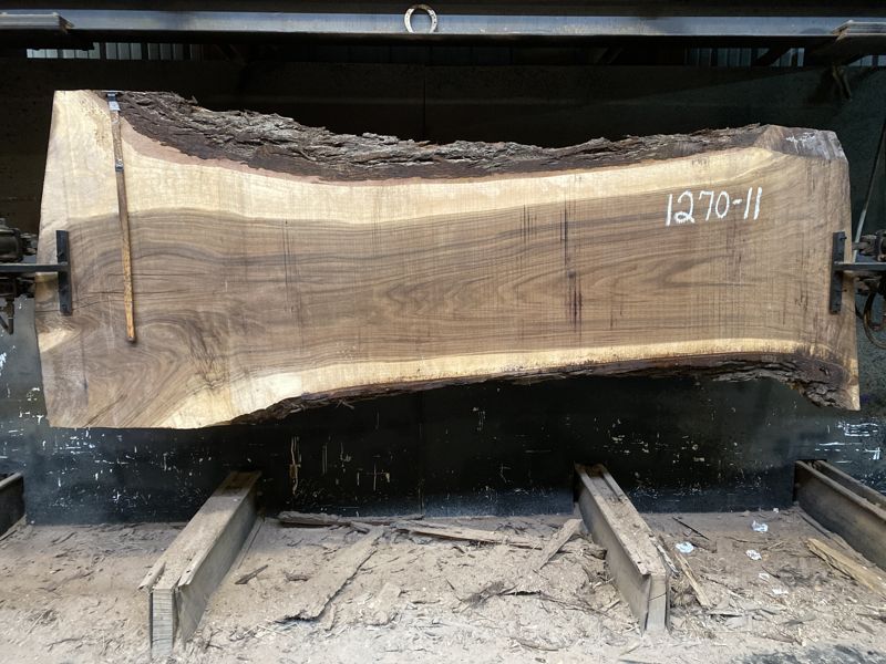 walnut slab 1270-11  rough size 3″ x 29-48″ avg. 31″ x 9′ $1250