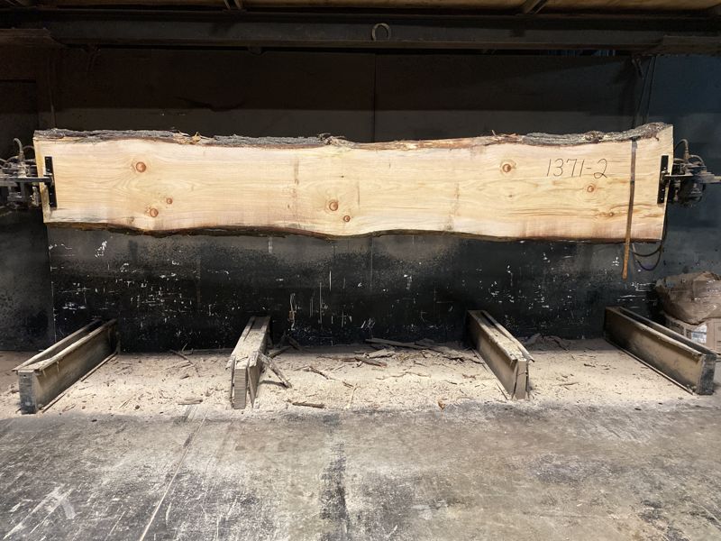 white pine slab 1371-2 rough size 2.5″ x 19-25″ avg. 21″ x 13′ $850