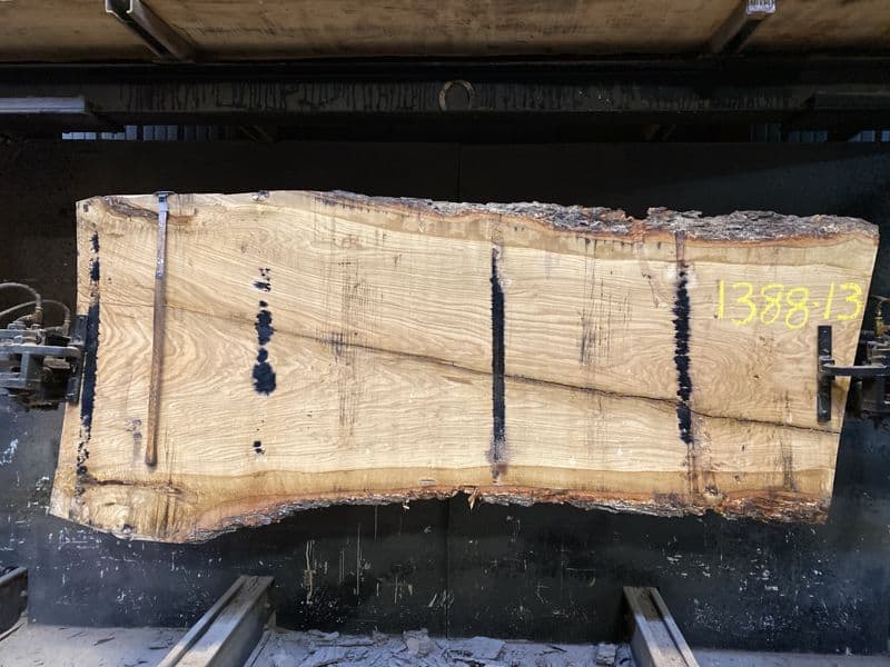 white oak slab 1388-13 rough size 1″ x 31-45″ avg. 34″ x 8′ $575 note thickness of this slab
