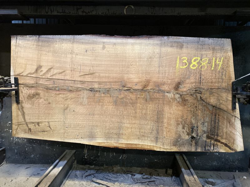 white oak slab 1388-14 rough size .75″ x 48-51″ avg. 50″ x 8′ $775 note thickness of this slab- major check, slab compromised