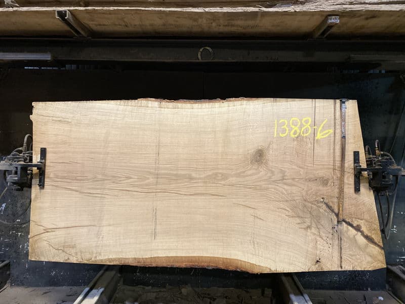white oak slab 1388-6 rough size 2.5″ x 48-51″ avg. 49″ x 8′ $1475