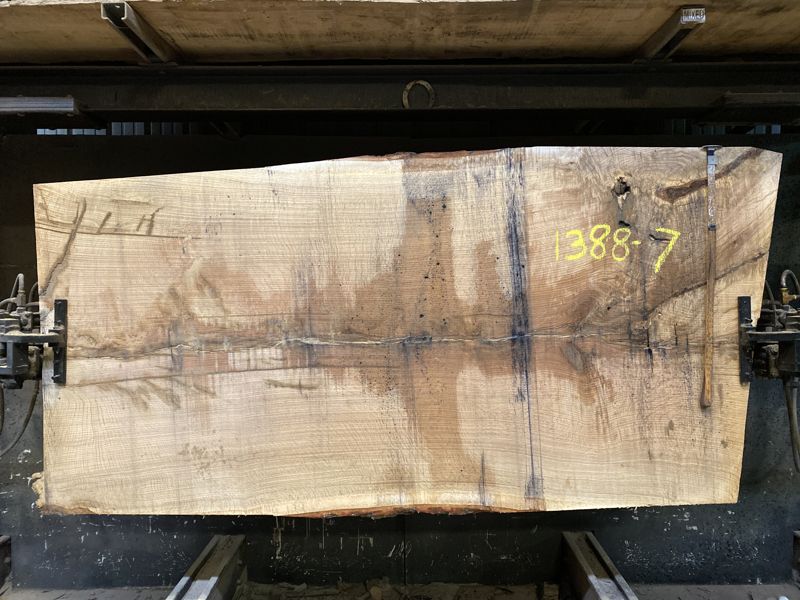 white oak slab 1388-7 rough size 2.5″ x 48-51″ avg. 50″ x 8′ $1425
