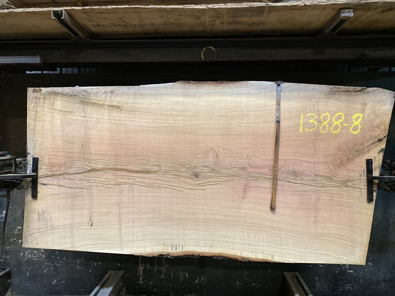 white oak slab 1388-8 rough size 2.5″ x 48-51″ avg. 50″ x 8′ $1475