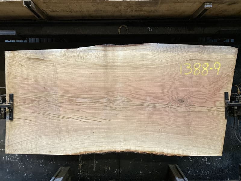 white oak slab 1388-9 rough size 2.5″ x 47-50″ avg. 48″ x 8′ $1425