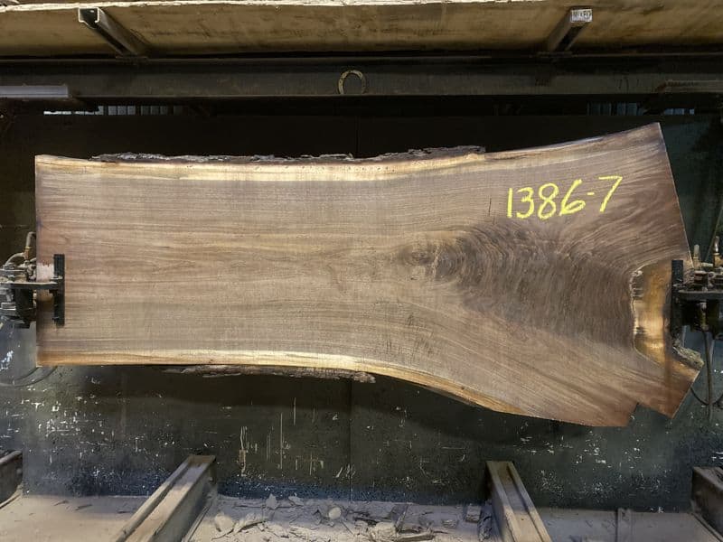 walnut slab 1386-7 rough size 2.5″ x 34-48″ avg. 36″ x 8′ $1950  sale pending LS 3-1-24
