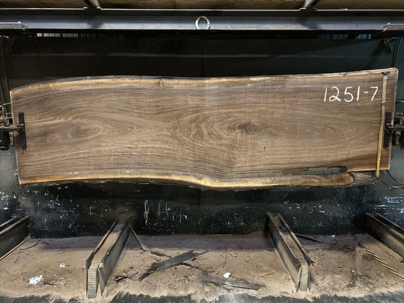 walnut slab 1251-7 rough size 2.5″ x 33-38″ avg. 35″ x 10′ $2400
