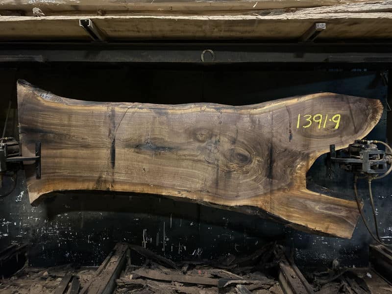 walnut slab 1391-9 rough size 2.25″ x 29-49″ avg. 31″ x 9′ $1000