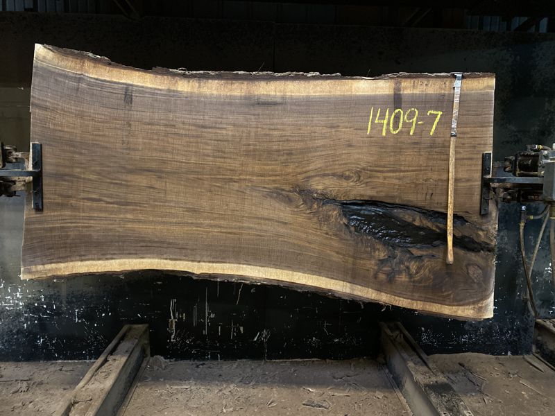 walnut slab 1409-7 rough size 2.5″ x 36-46″ avg. 40″ x 7′ $1525