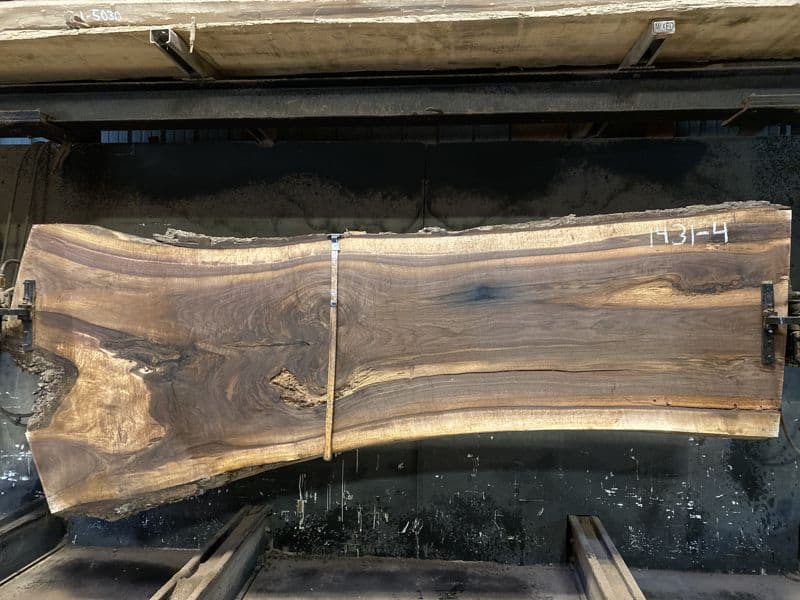 walnut slab 1431-4 rough size 2.5″ x 32-45″ avg. 34″ x 9′ 