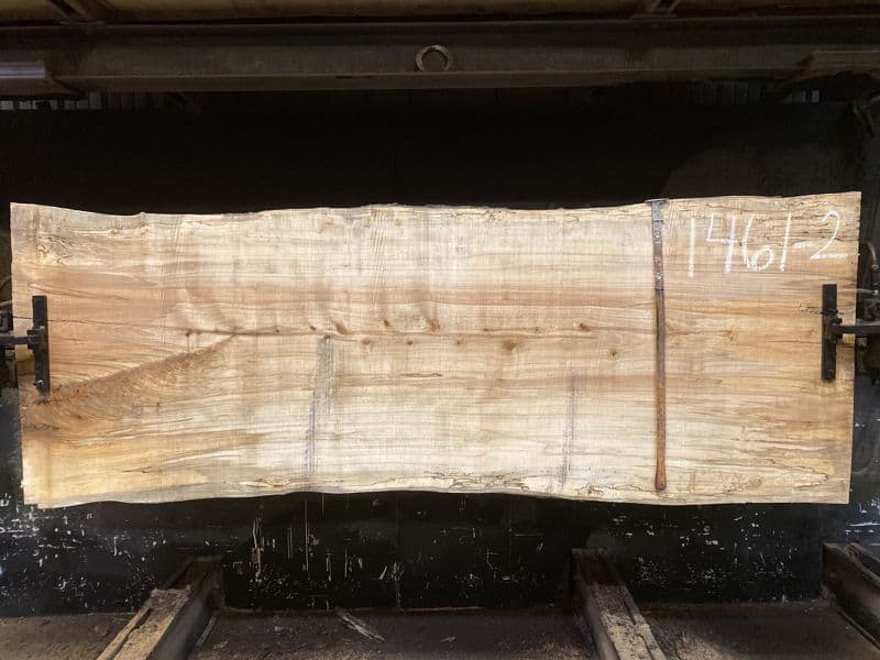 spalted maple slab 1461-2 rough size 2.5″ x 36-39″ avg. 38″ x 8′ $1350 sale pending PO 23-8596