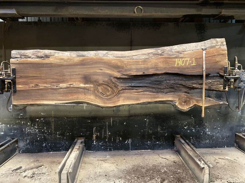 walnut slab 1407-1 rough size 2.5″ x 22-30″ avg. 23″ x 9′ $775