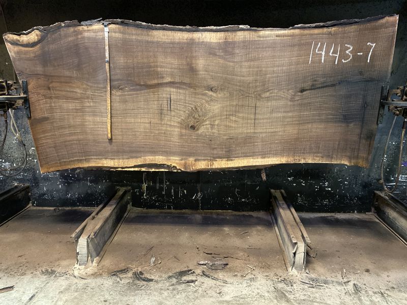 walnut slab 1443-7 rough size 2.5″ x 43-48″ avg. 45″ x 10′ $2800