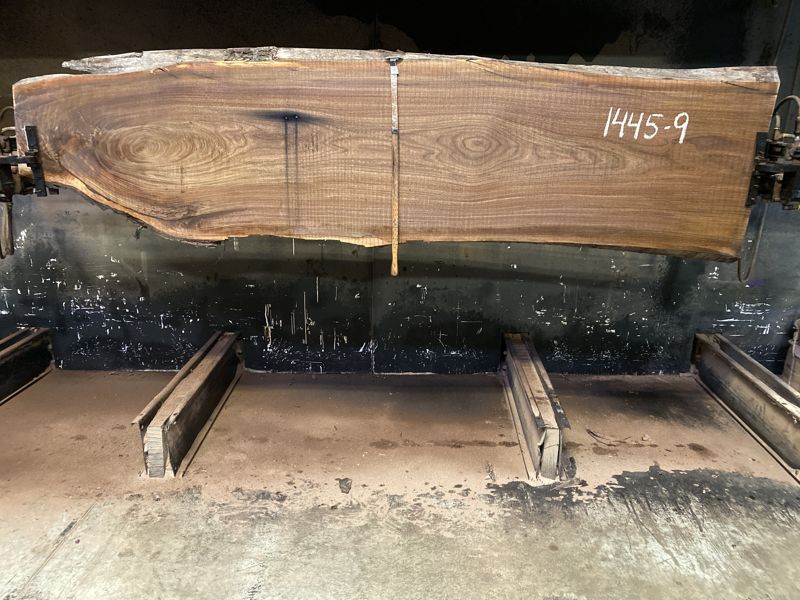 walnut slab 1445-9 rough size 2.5″ x 17-31″ avg. 28″ x 10′
