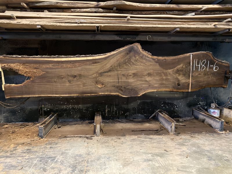 walnut slab 1481-6  rough size 2.5″ x 23-51″ avg. 37″ x 17′ 