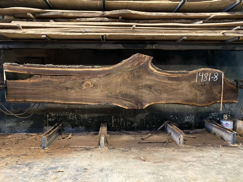 walnut slab 1481-8  rough size 2.5″ x 15-52″ avg. 33″ x 17′ 