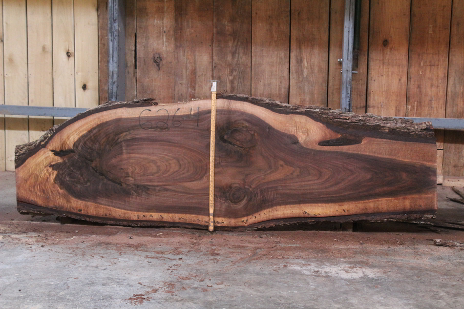 Walnut slab 626-4 rough size: 2″ x min width 31″ x 101″ $295