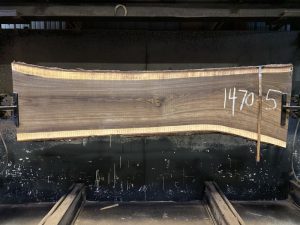 walnut slab 1470-5