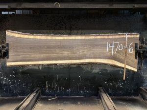 walnut slab 1470-6